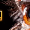 8k iptv supscription ultra hd